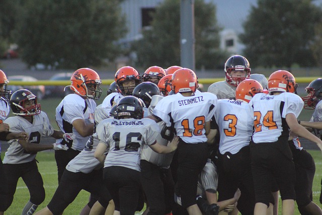 的绿茵场上 的绿茵场上