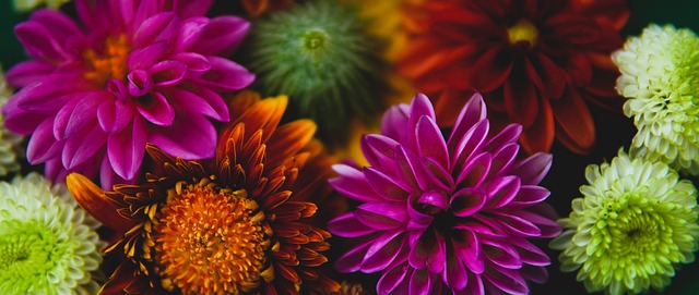 文化和景点 文化和景点