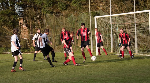 在哈尔滨 在哈尔滨