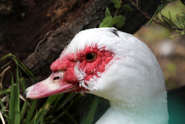 成功的重要 成功的重要