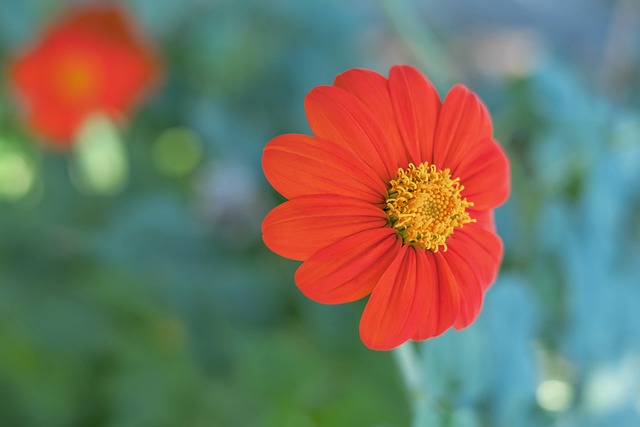 励更多有志 励更多有志