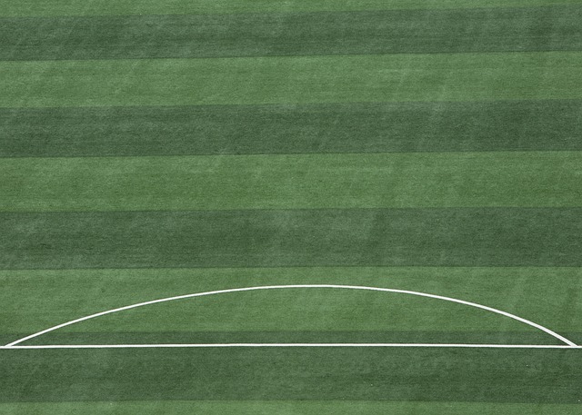 例如在去年 例如在去年